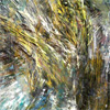  http://www.droraeylon.com/Eng
