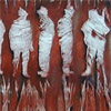  http://www.hoffman-kassif.com/