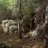  http://www.yuvaldoron.com