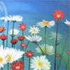  http://www.shaked-art.com/