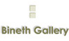 http://www.artcity.co.il/Gallery/Bineth